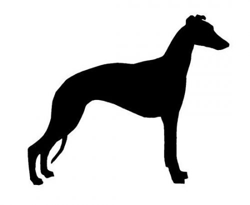 Pcontrol: Gerador de Leads Whippet Pcontrol: Gerador de Leads Whippet