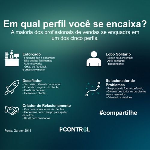 Pcontrol: Quais os Principais Tipos de Vendedores