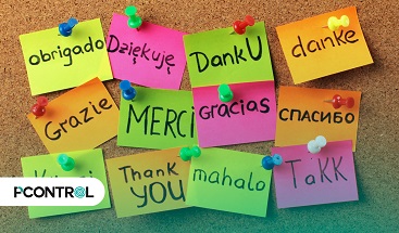 Frases de agradecimento à equipe