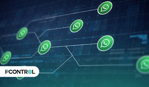 Pcontrol: WhatsApp para vender - conversas em vendas